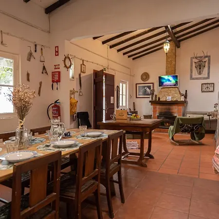 Hostel Olive3
