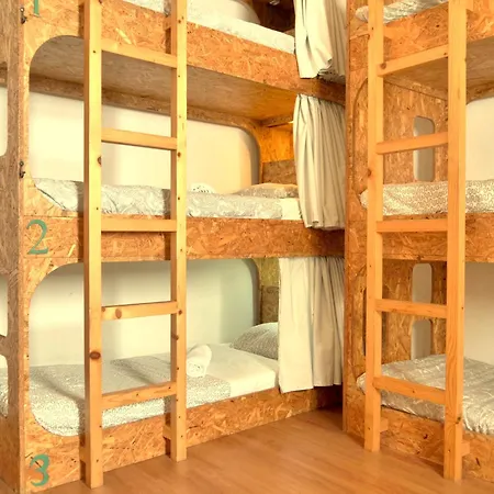 Albergue Olive3