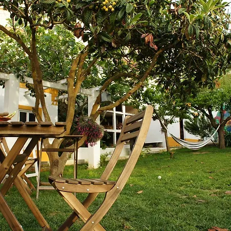 Albergue Olive3