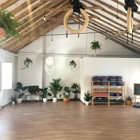 Albergue Olive3