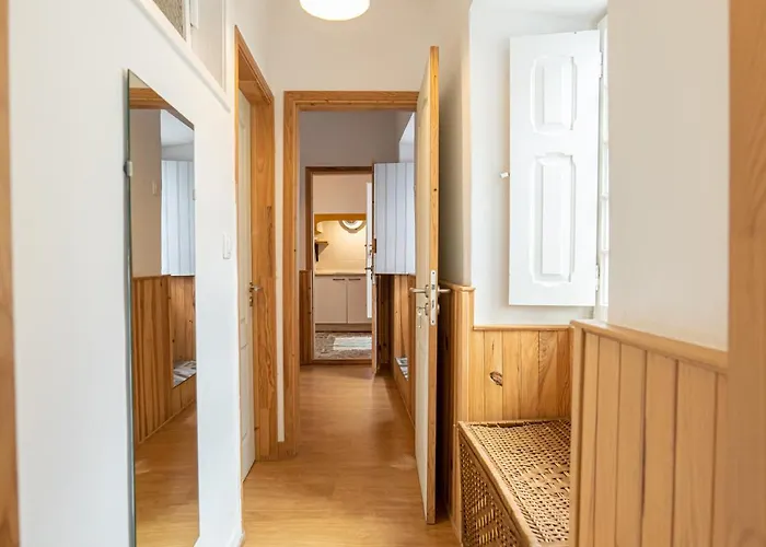 Olive3 אכסניה אריסרייה