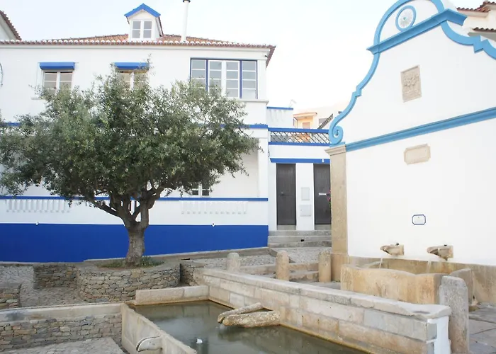 Hostel Olive3