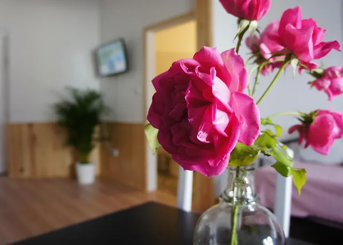 Olive3 אריסרייה