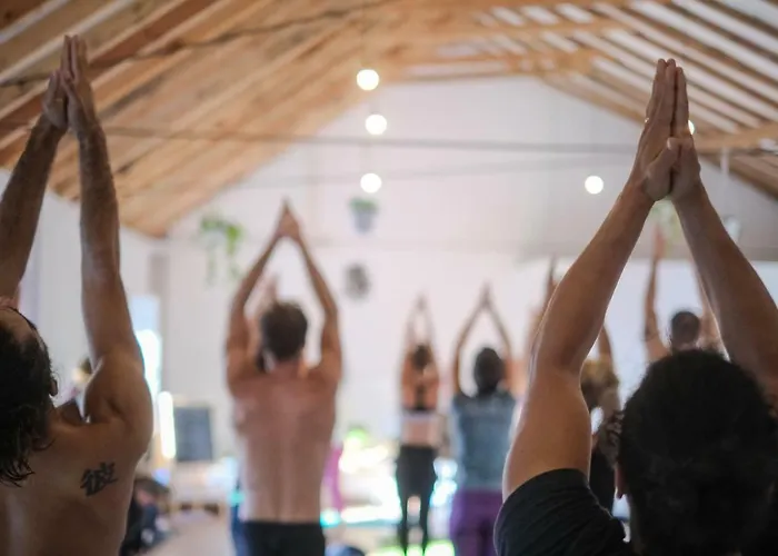 אכסניה Olive3 *